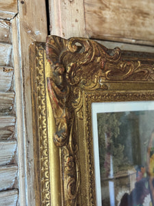 19th Century Hand-coloured Floral Print in Ornate Frame