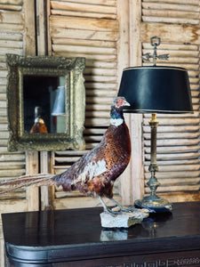 Vintage Taxidermy Pheasant on Base