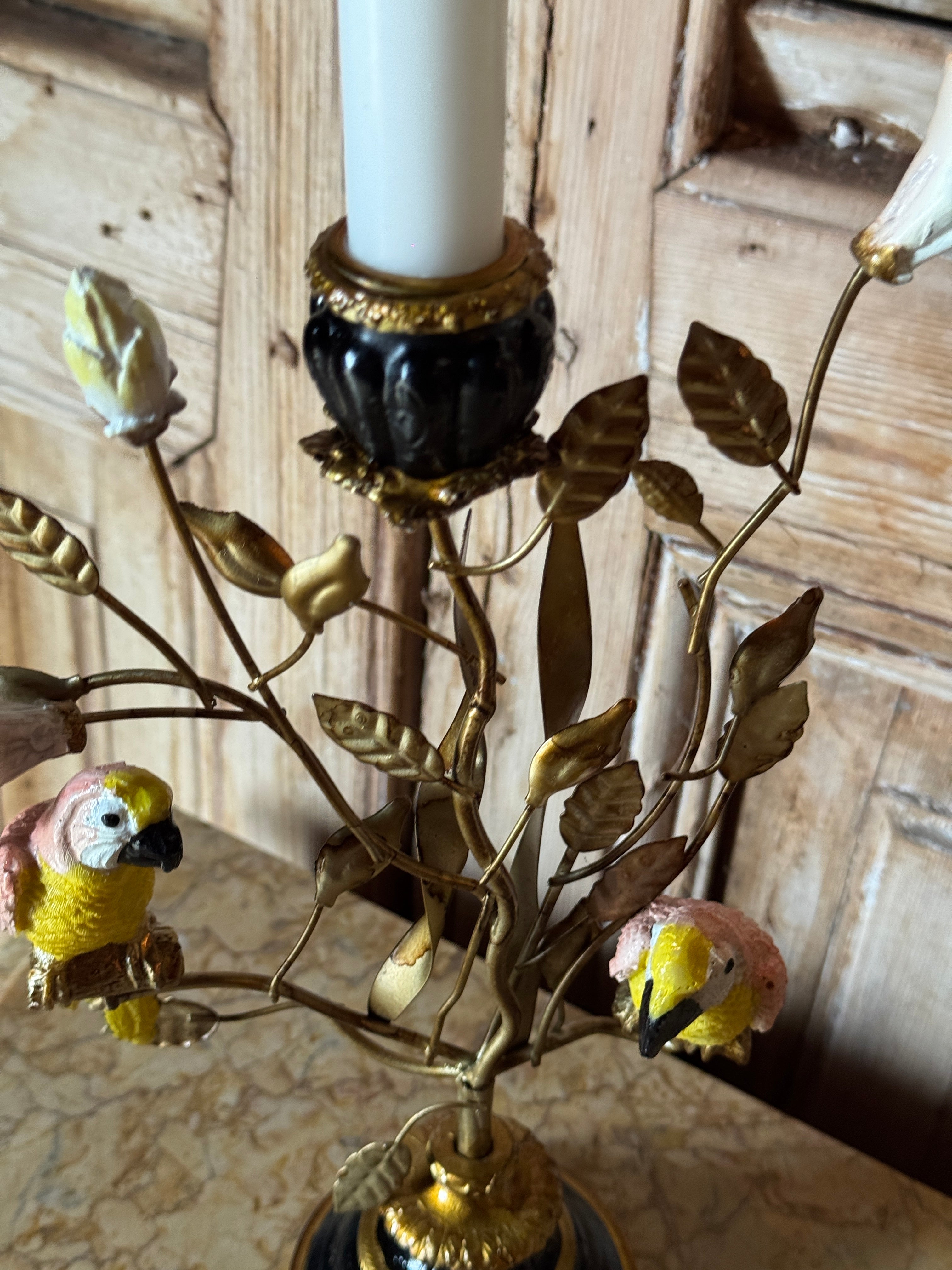 Parrot Taper Candelabra - Yellow