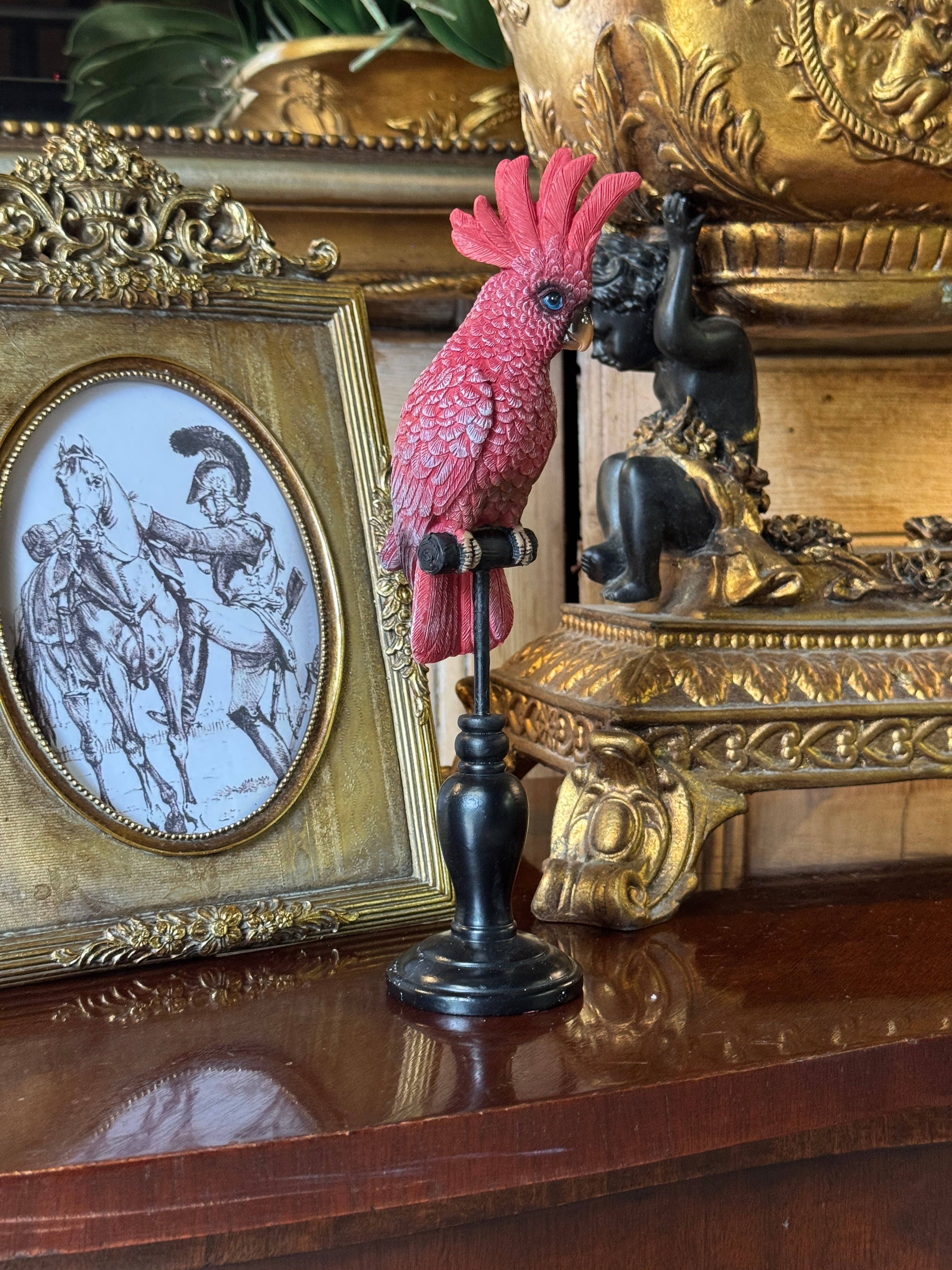 Fuchsia Cockatoo on Stand