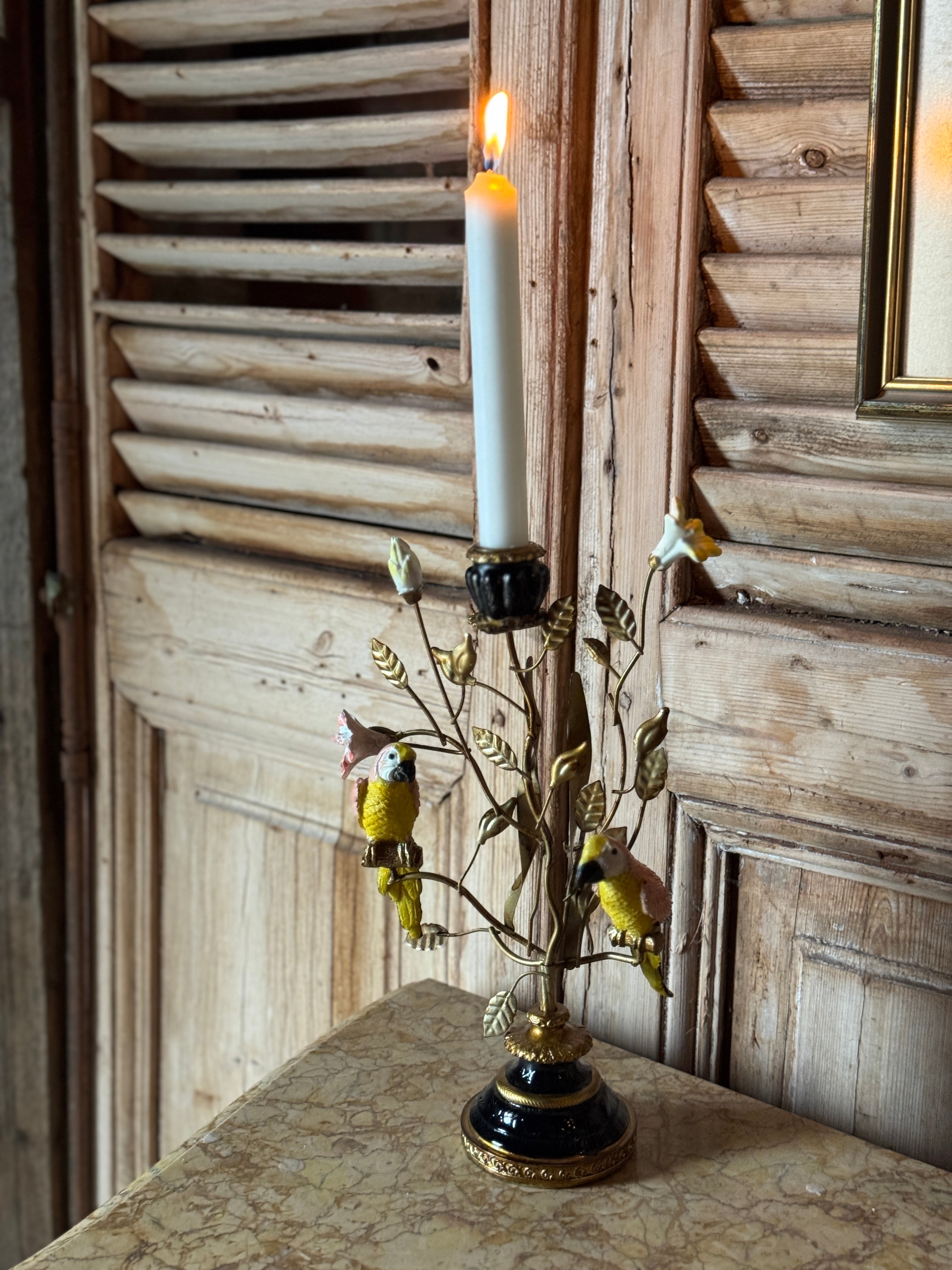 Parrot Taper Candelabra - Yellow