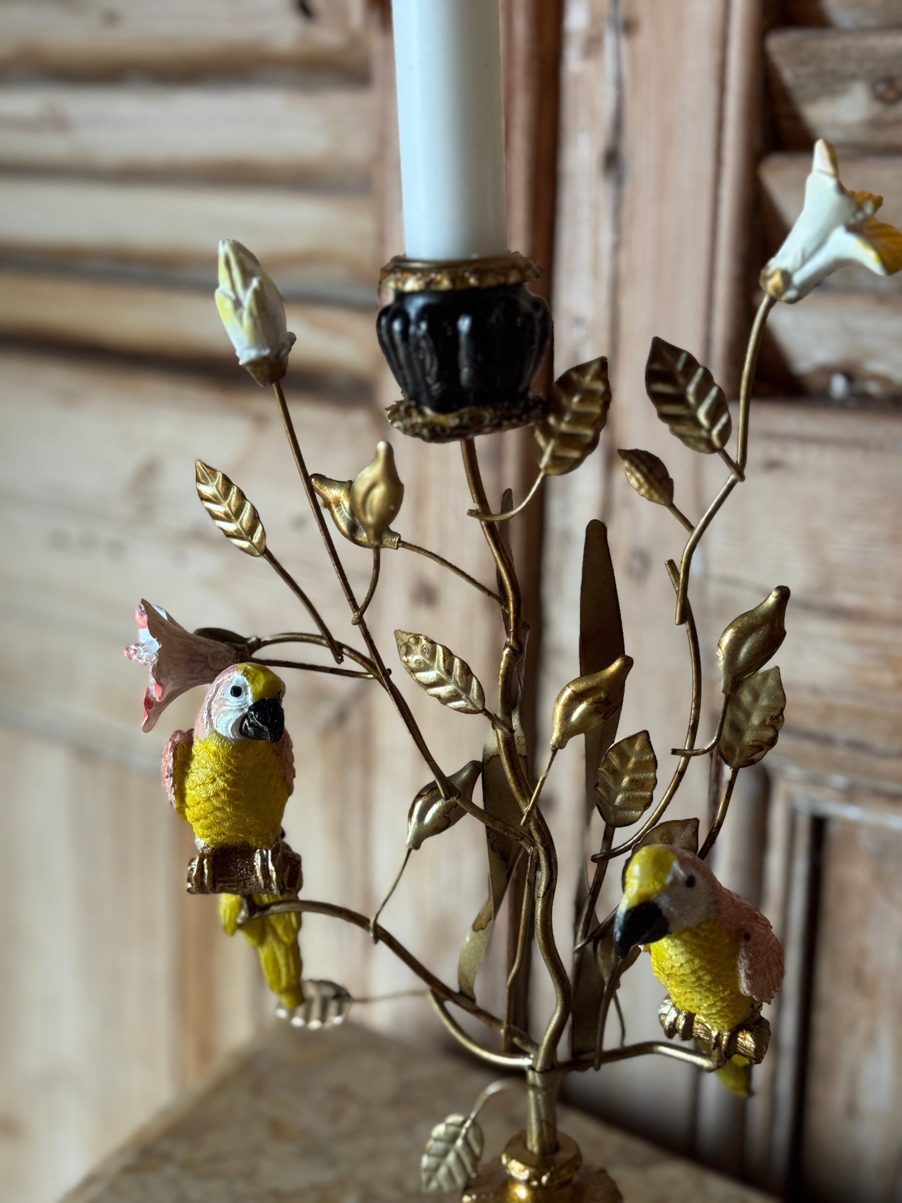 Parrot Taper Candelabra - Yellow