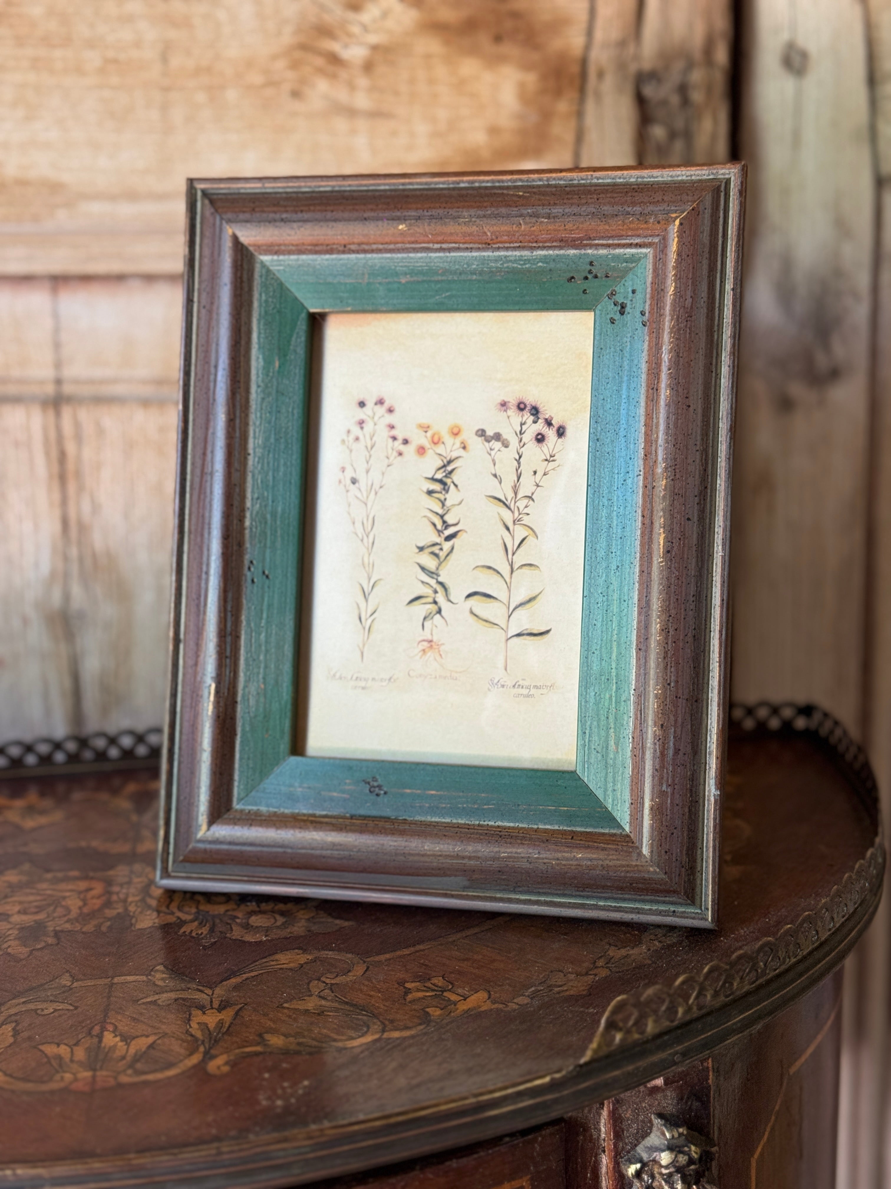 Vintage-Style Botanical Timber Frame (Two Sizes)