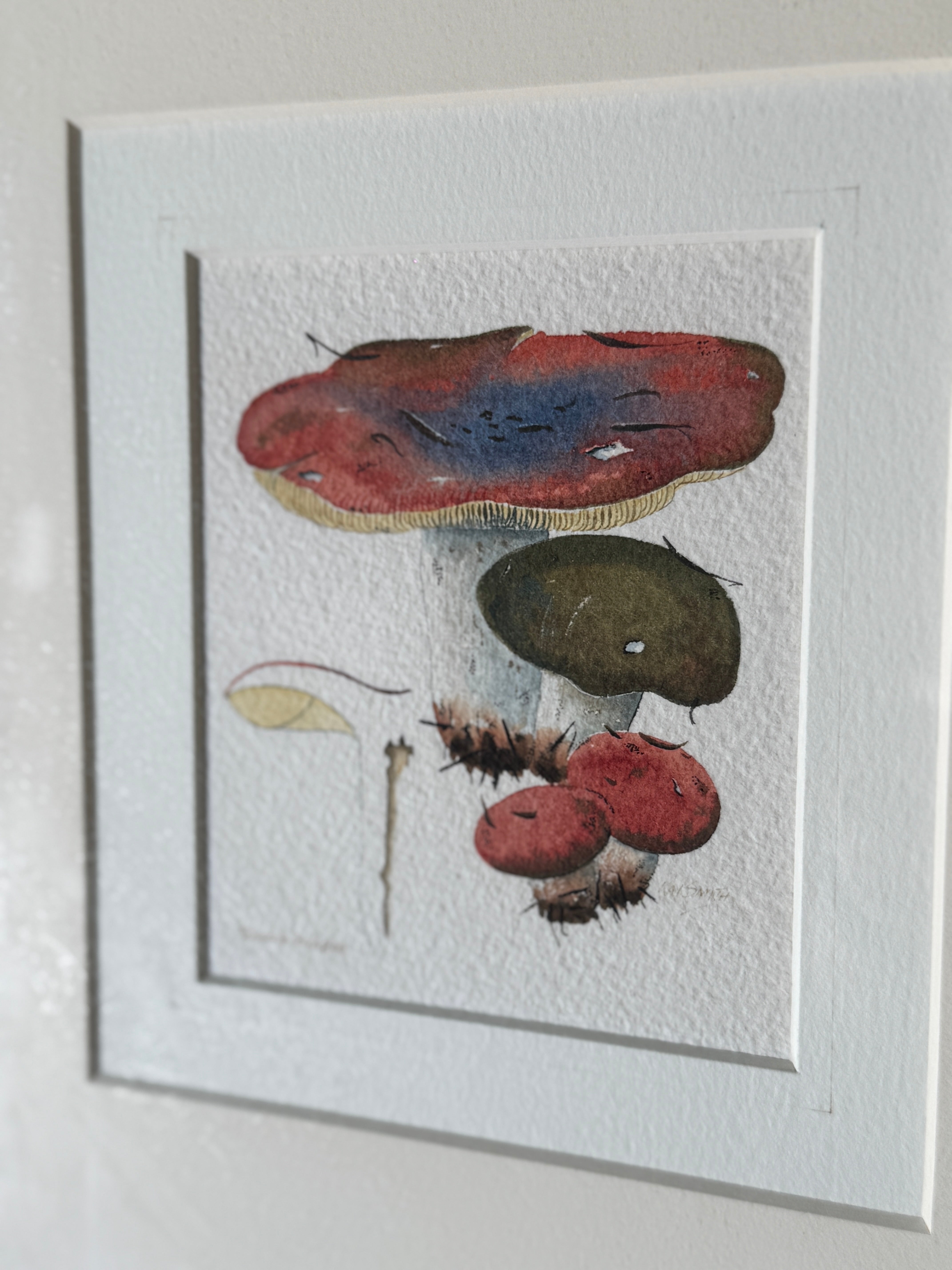 Pair of Original Mushroom Watercolour Framed Artworks