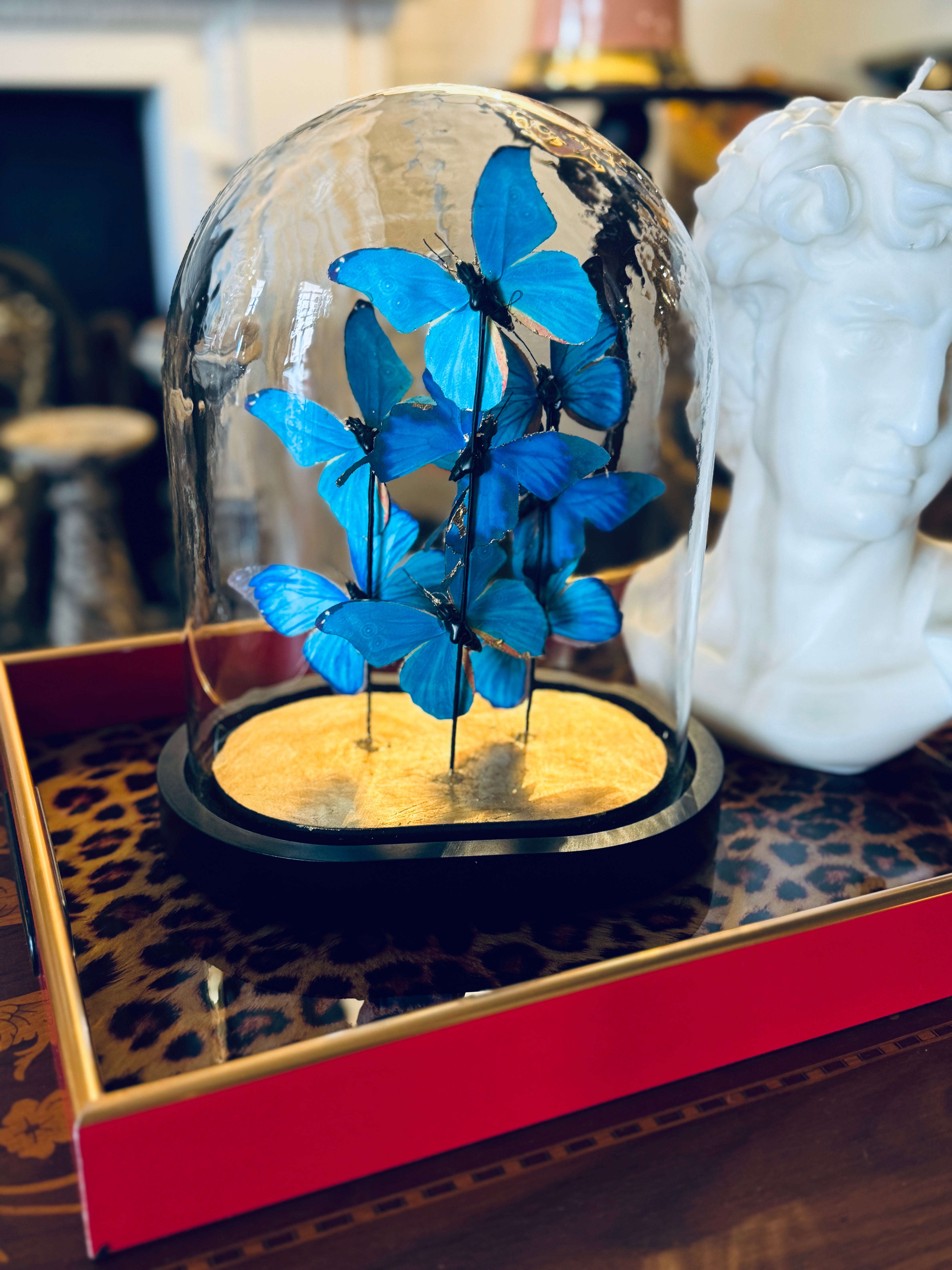 Faux Ulysses butterfly Cloche