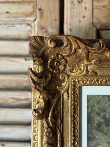 19th Century Hand-coloured Floral Print in Ornate Frame