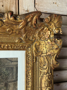 19th Century Hand-coloured Floral Print in Ornate Frame