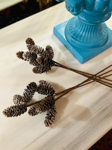 Pinecone Stems