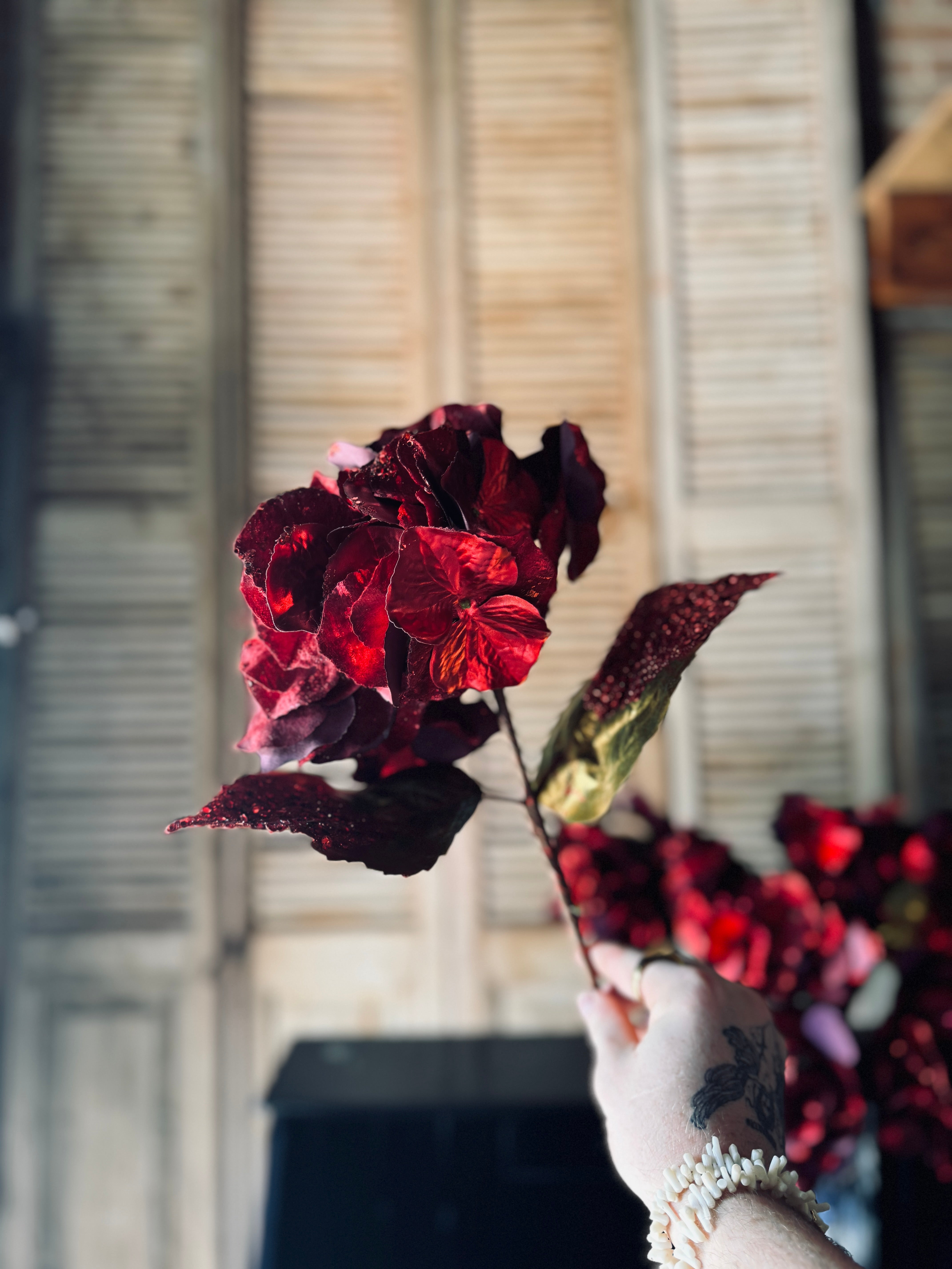 Deep Red Glitter Hydrangea