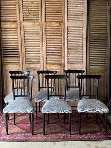 Set of 6 Vintage Napoleon III Style Chairs in Catherine Martin Velvet