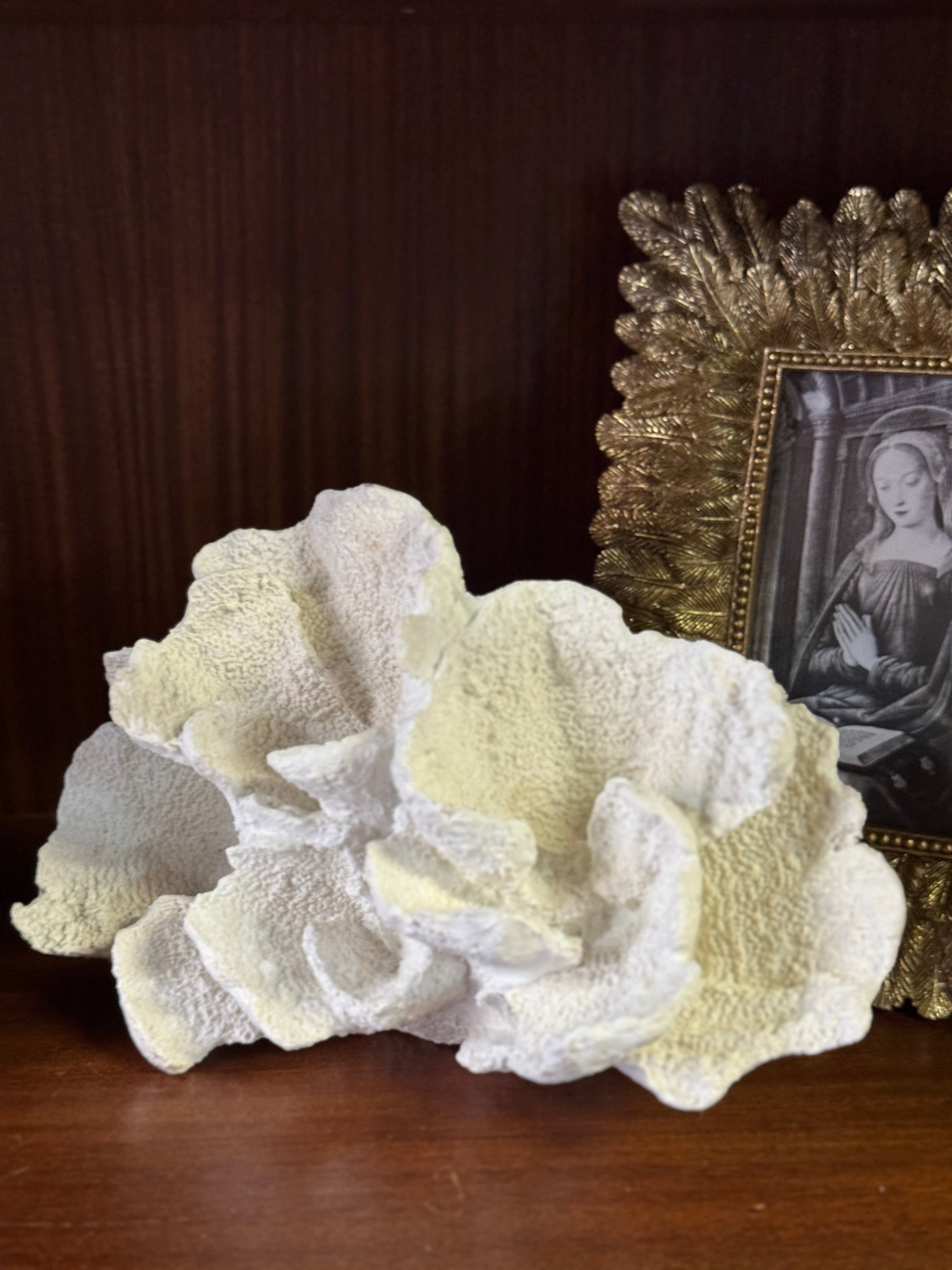 White Faux Wave Coral