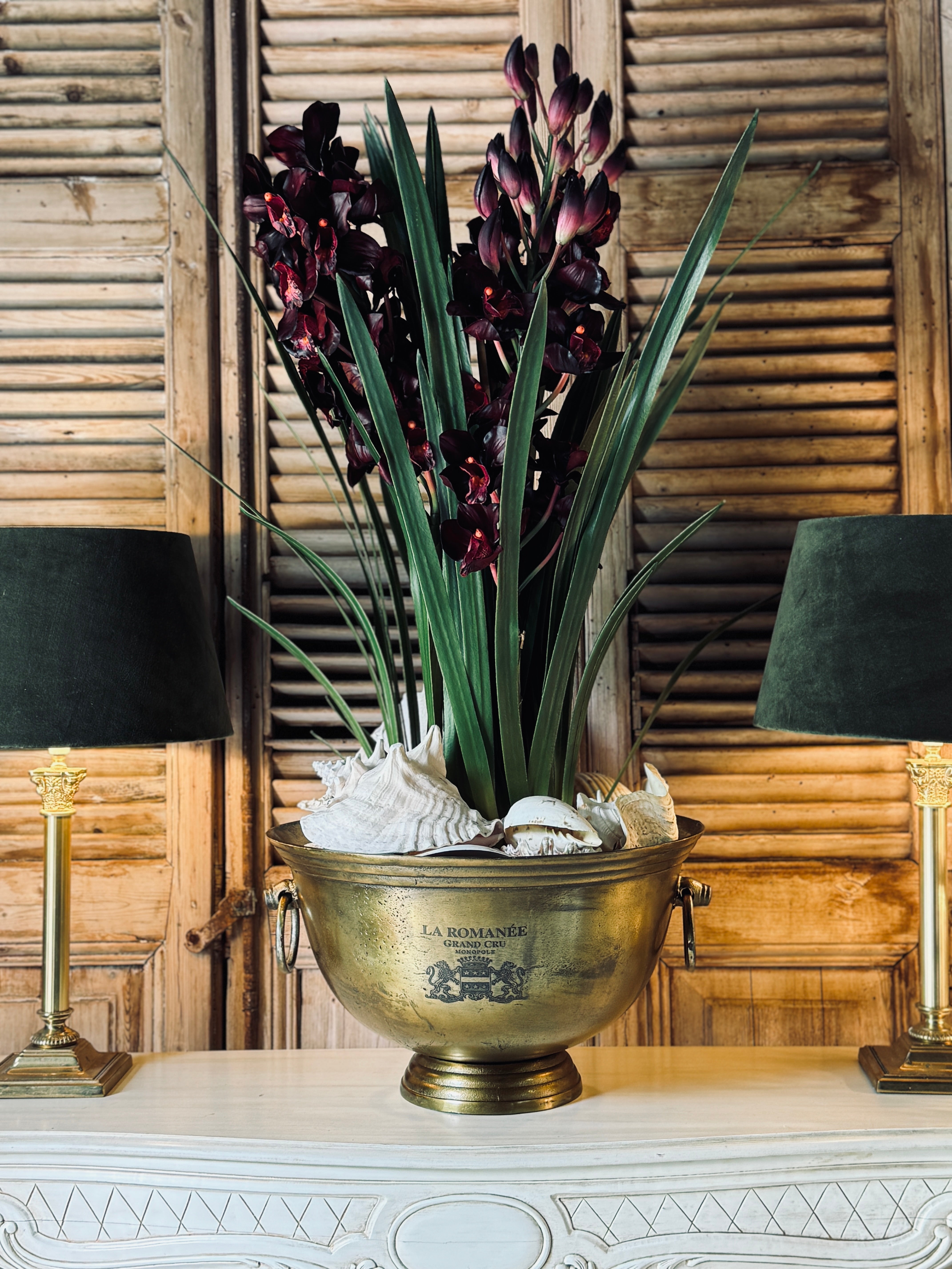 Giant Burgundy Cymbidium Orchid in Paper Pot