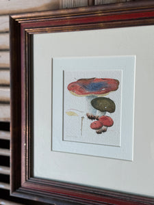 Pair of Original Mushroom Watercolour Framed Artworks