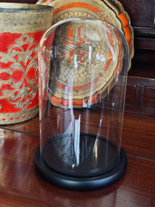 Glass Cloche with Black Timber Base