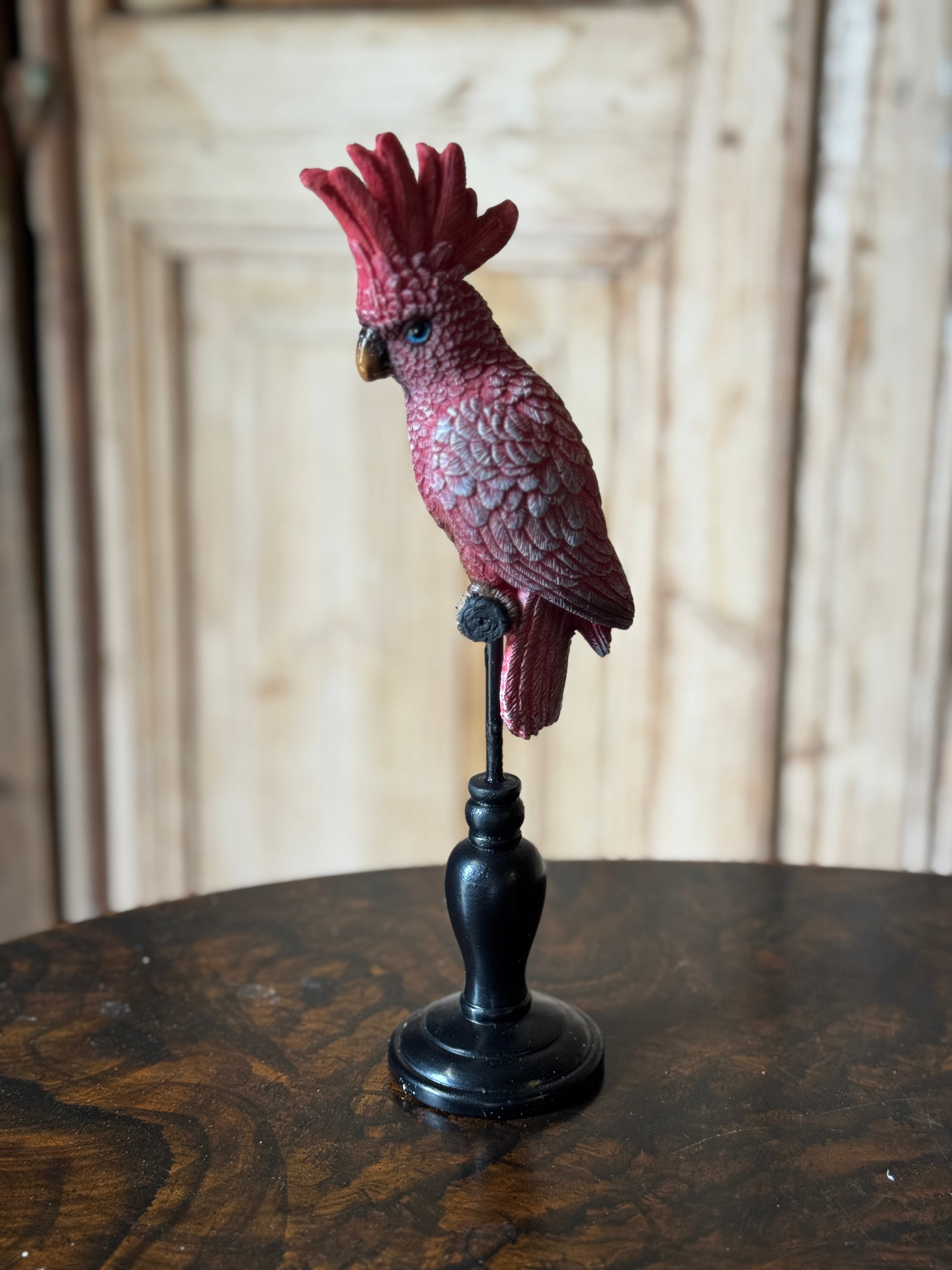 Fuchsia Cockatoo on Stand
