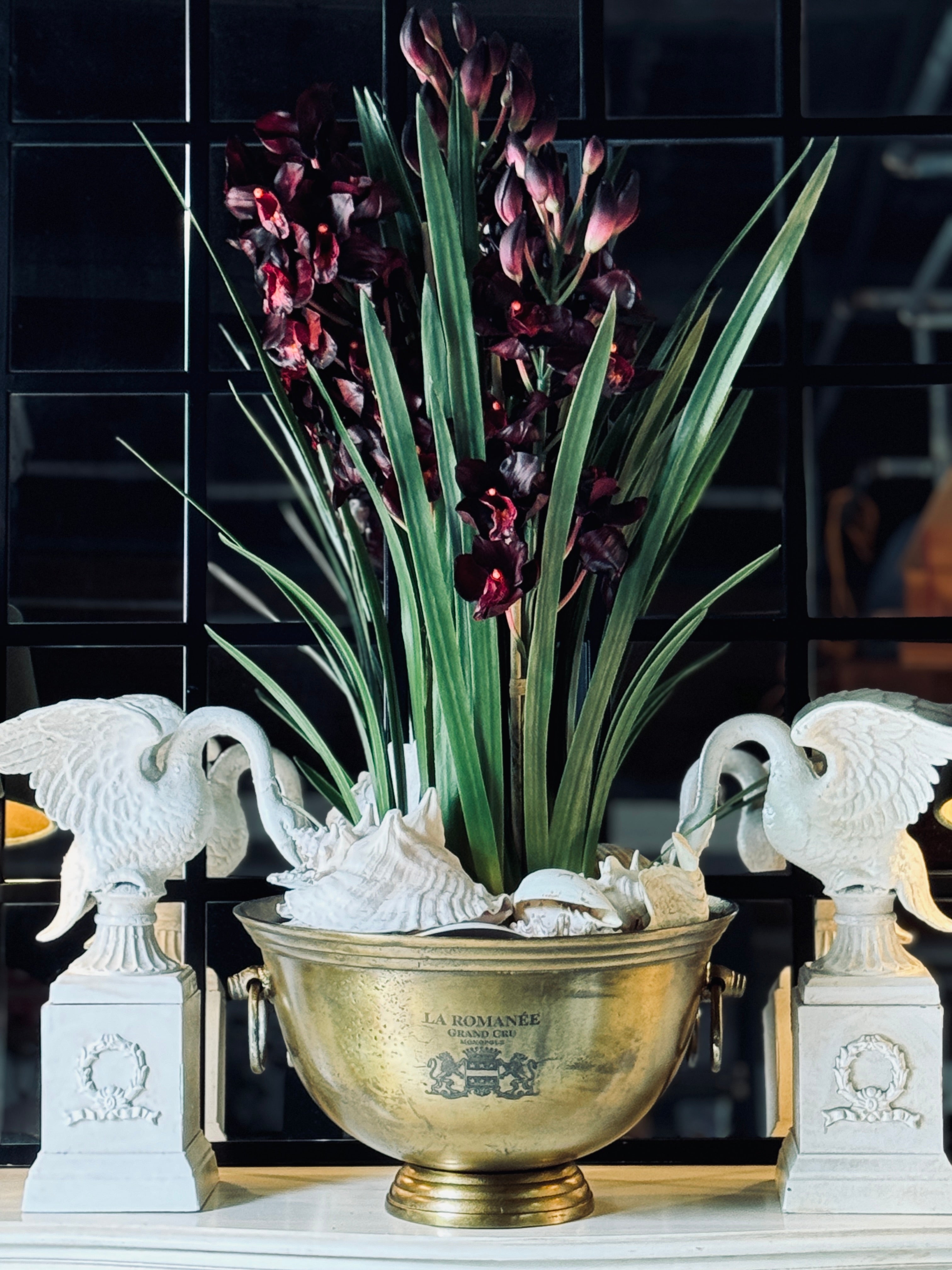 Giant Burgundy Cymbidium Orchid in Paper Pot