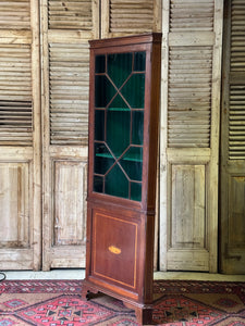 Antique Edwardian Corner Cabinet with Astragal Door and Green Felt Lined Display