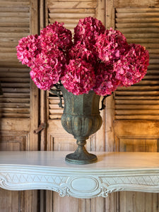 Pink Ball Head Hydrangea