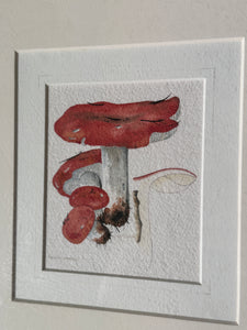 Pair of Original Mushroom Watercolour Framed Artworks