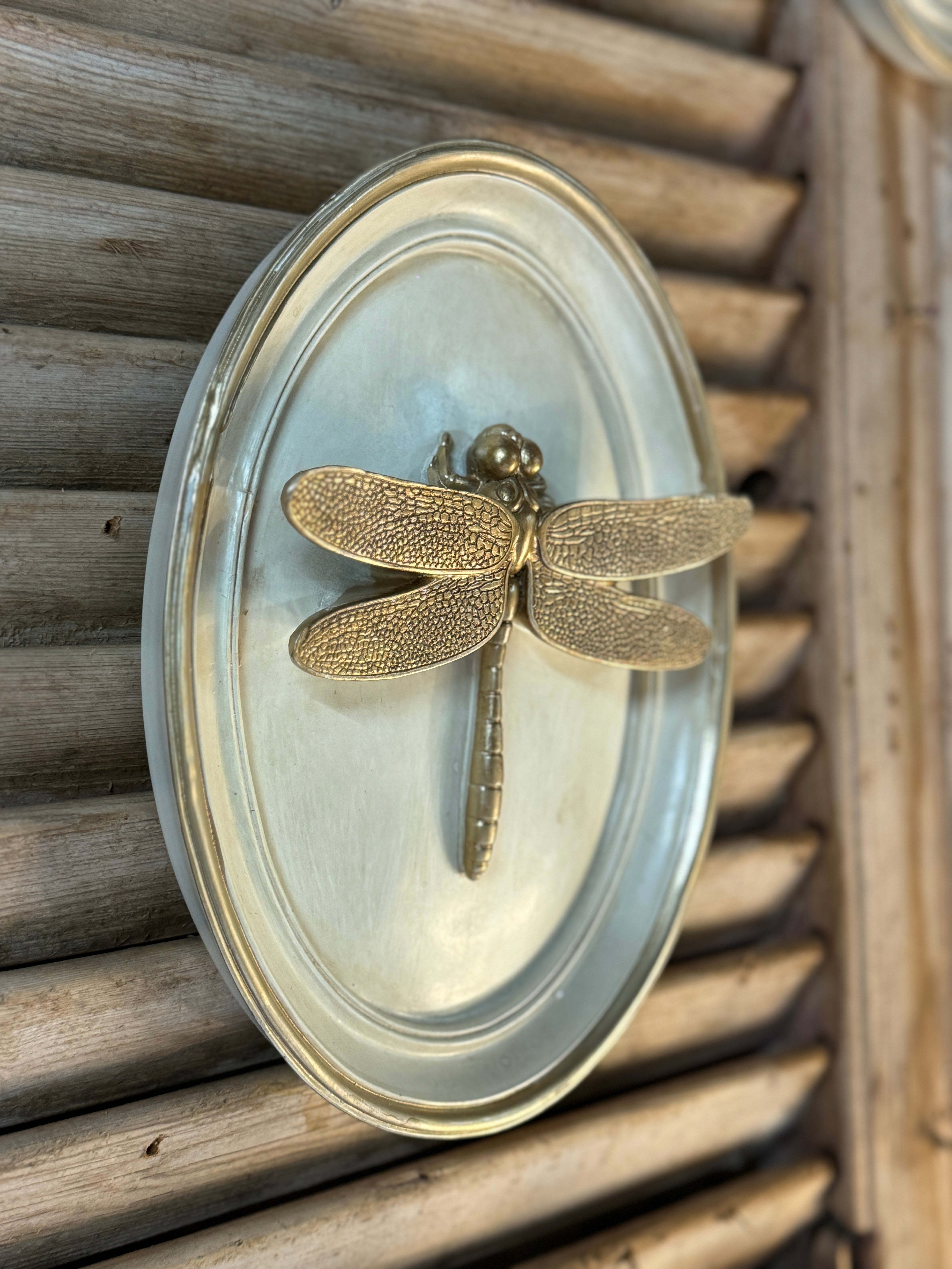 Cream & Gold Dragonfly Wall Plaque