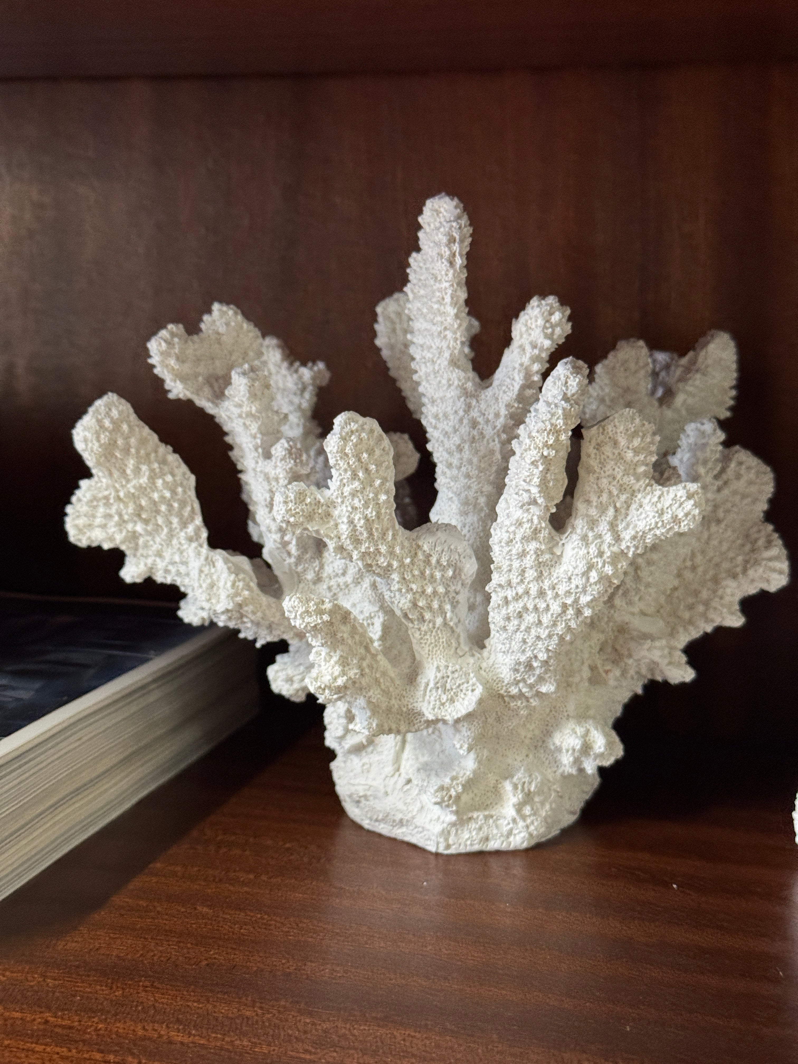 White Faux Finger Coral