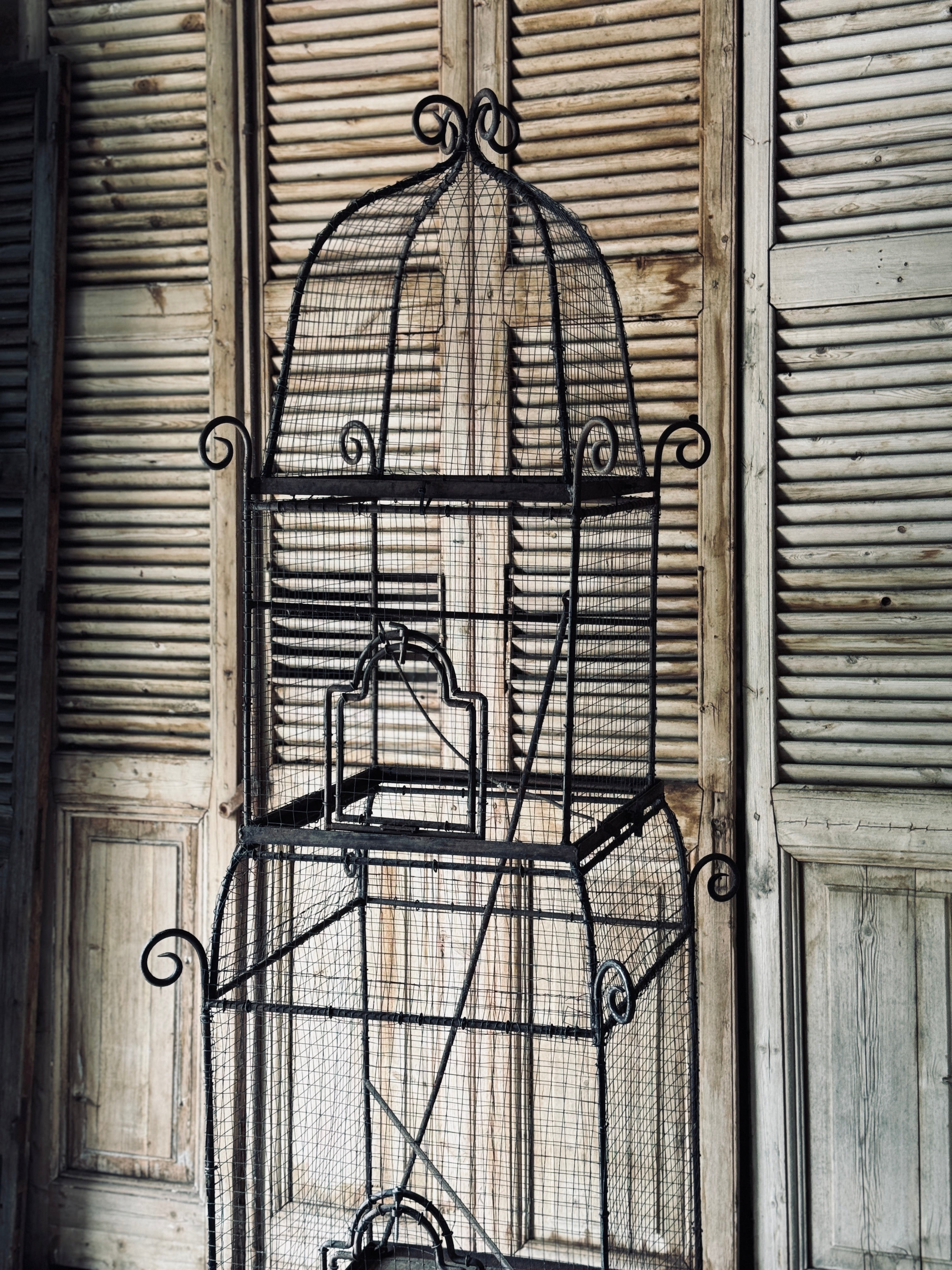 Tall Vintage Wrought Iron Birdcage