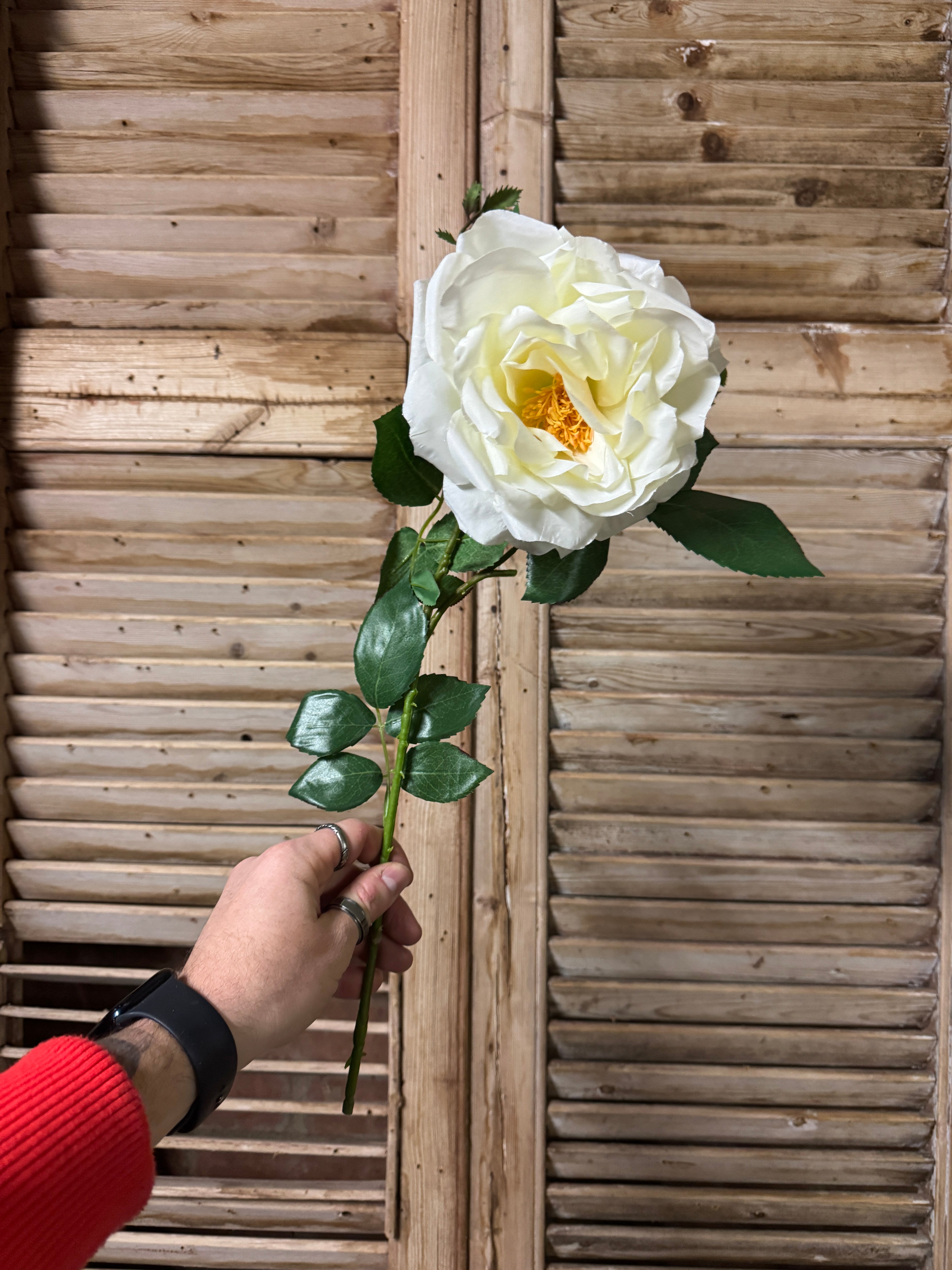White Chelsea Rose Faux Floral Stem
