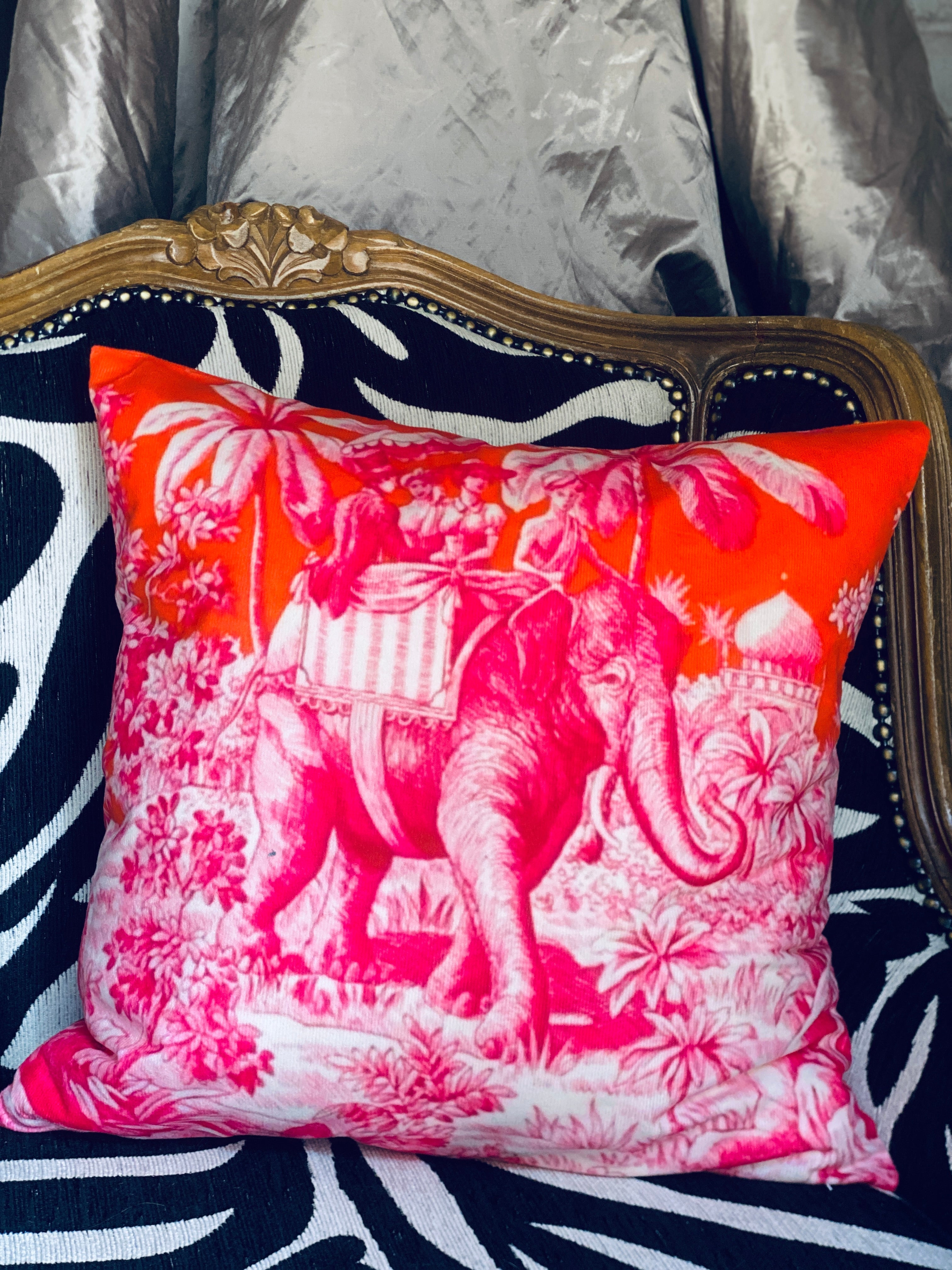 Eclectic Oriental Velvet Cushions