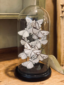 White & Silver Butterfly Cloche - 2 Sizes
