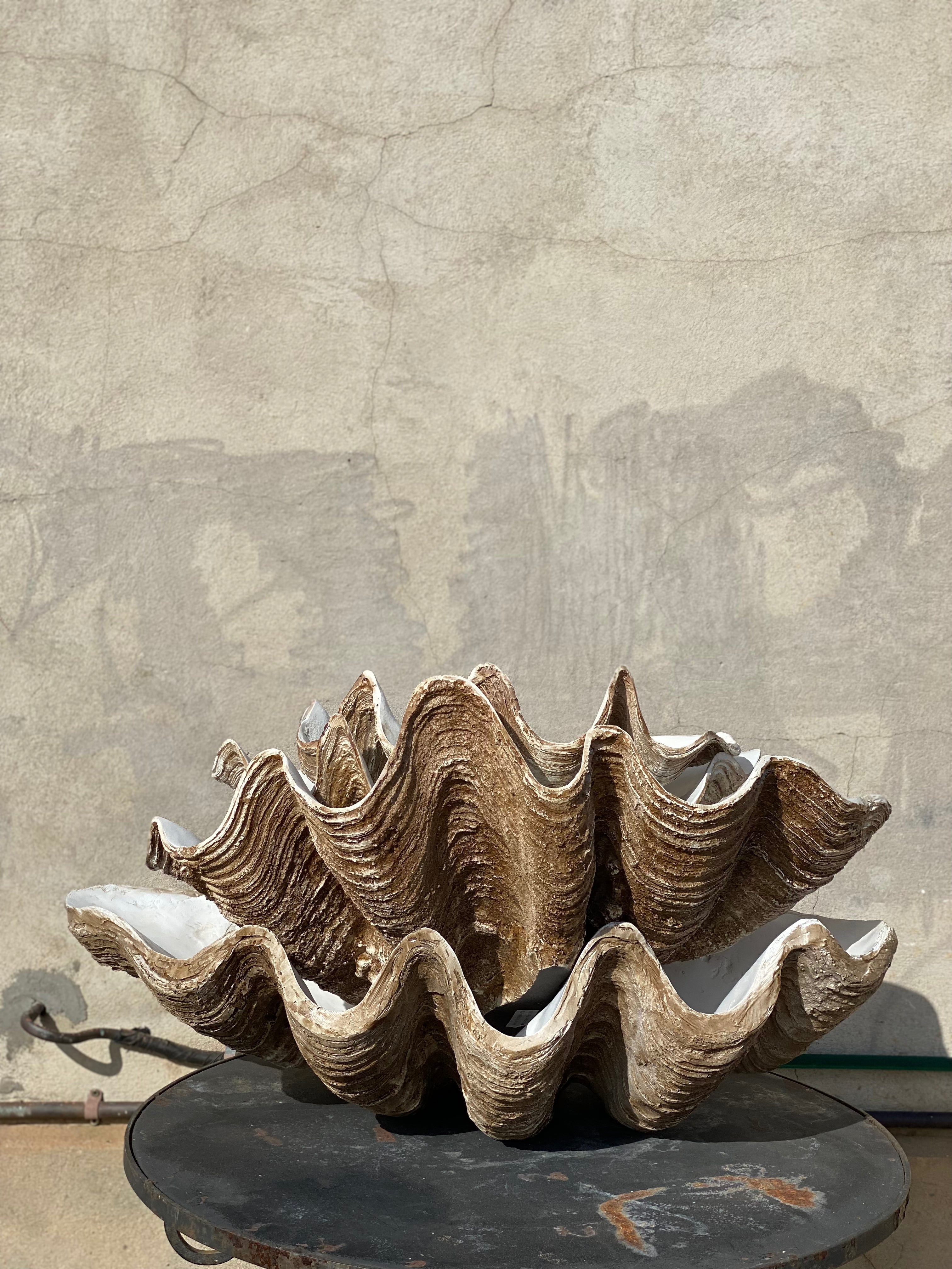 Giant clam discount shell resin