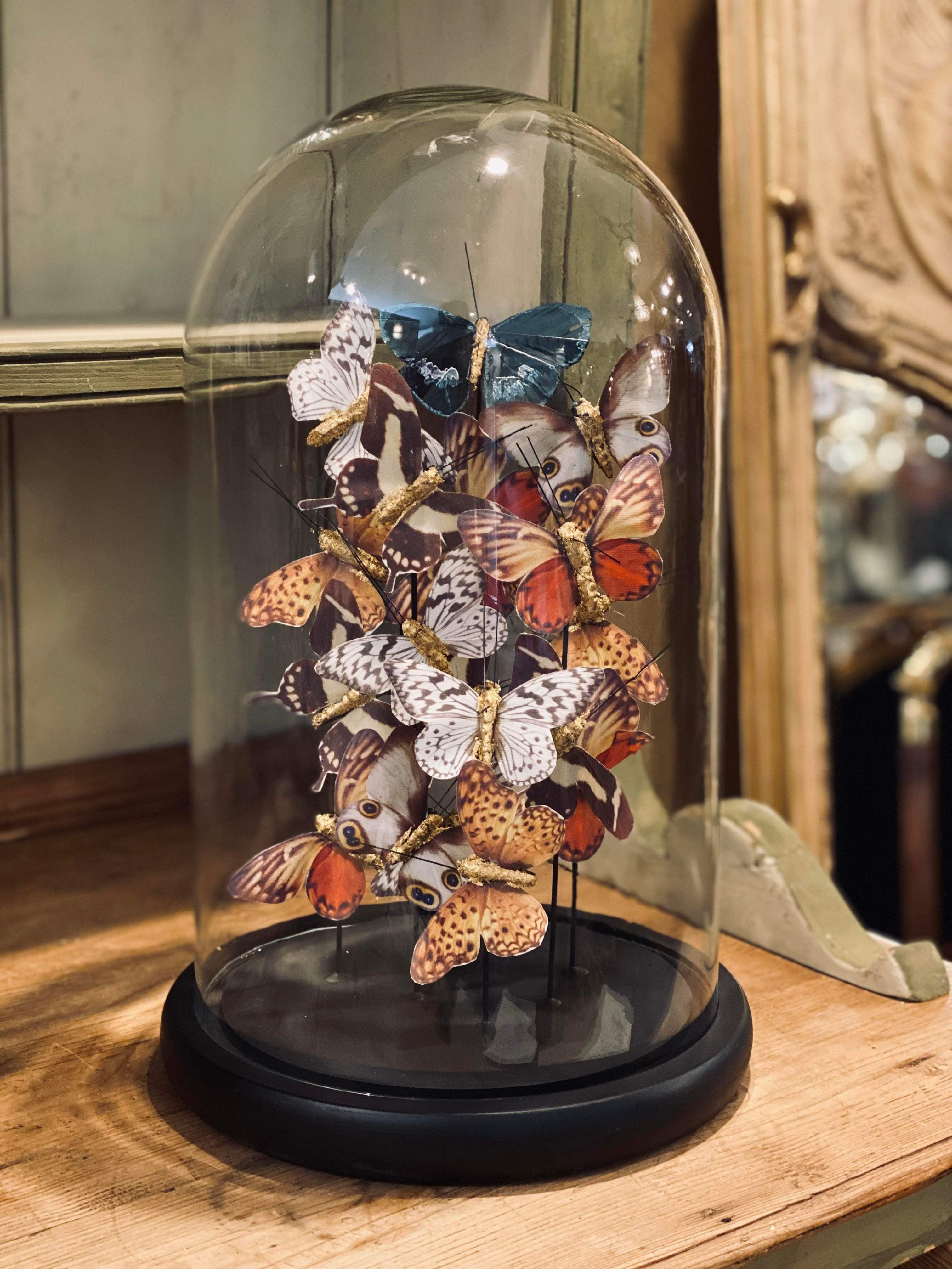 Amber Butterfly Cloche - 2 Sizes