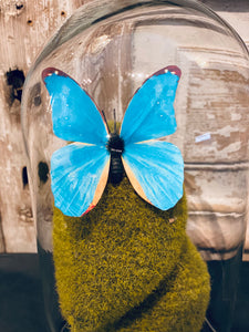Vintage Faux Butterfly Cloche