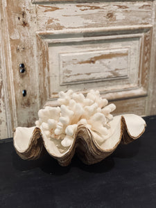 Vintage Style Resin Clam Shells