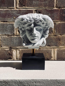 Medusa Head on Stand