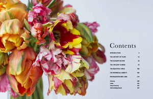 Tulips - Beautiful Varieties
