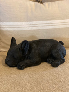 Black Sleeping Frenchie Bulldog
