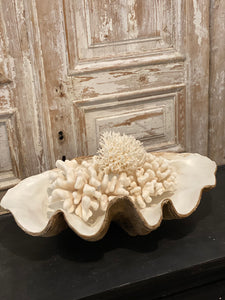 Vintage Style Resin Clam Shells