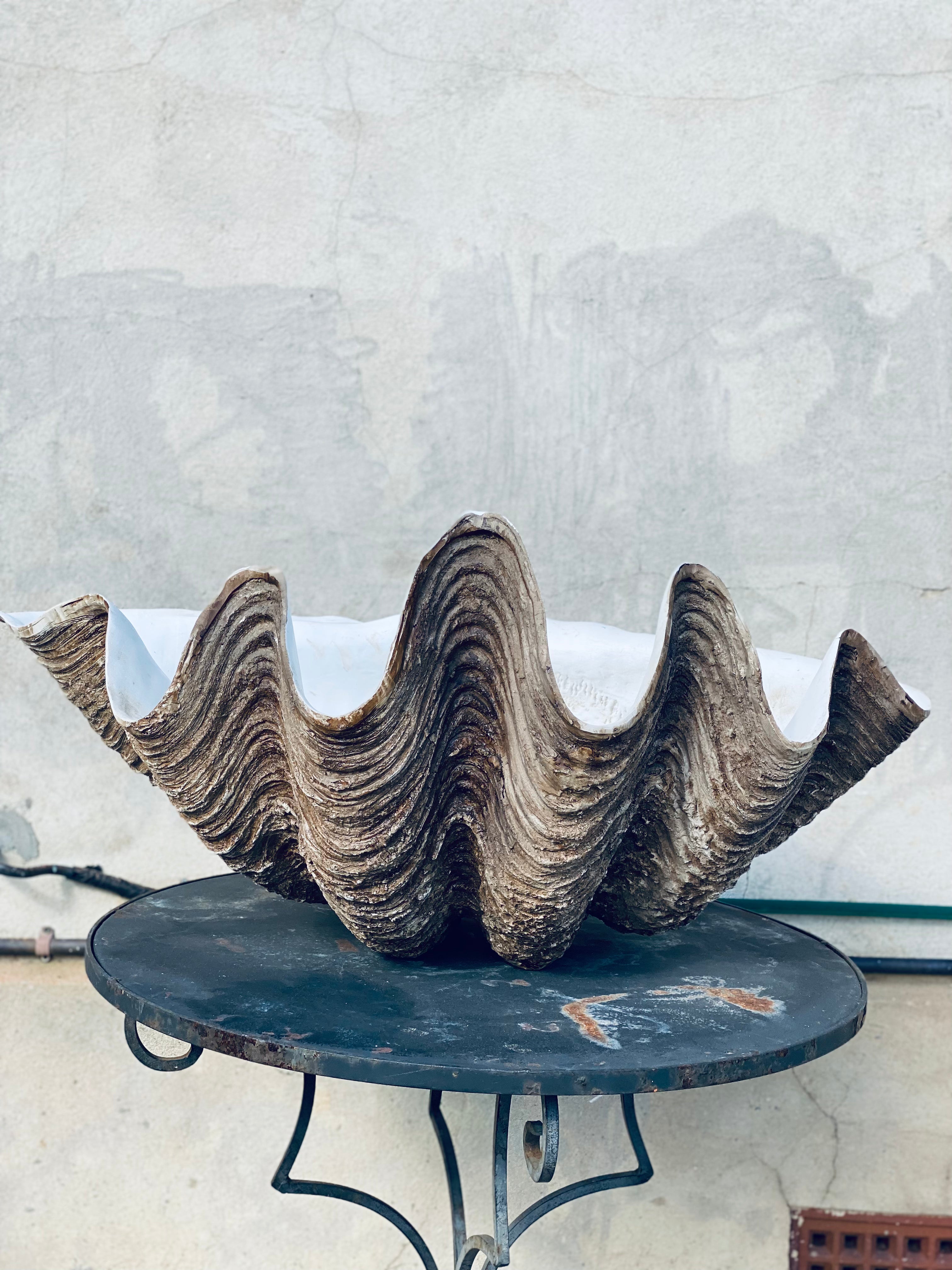 Vintage Style Resin Clam Shells