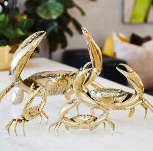 Brass Crab - Various Sizes