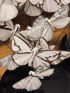 White & Silver Butterfly Cloche - 2 Sizes